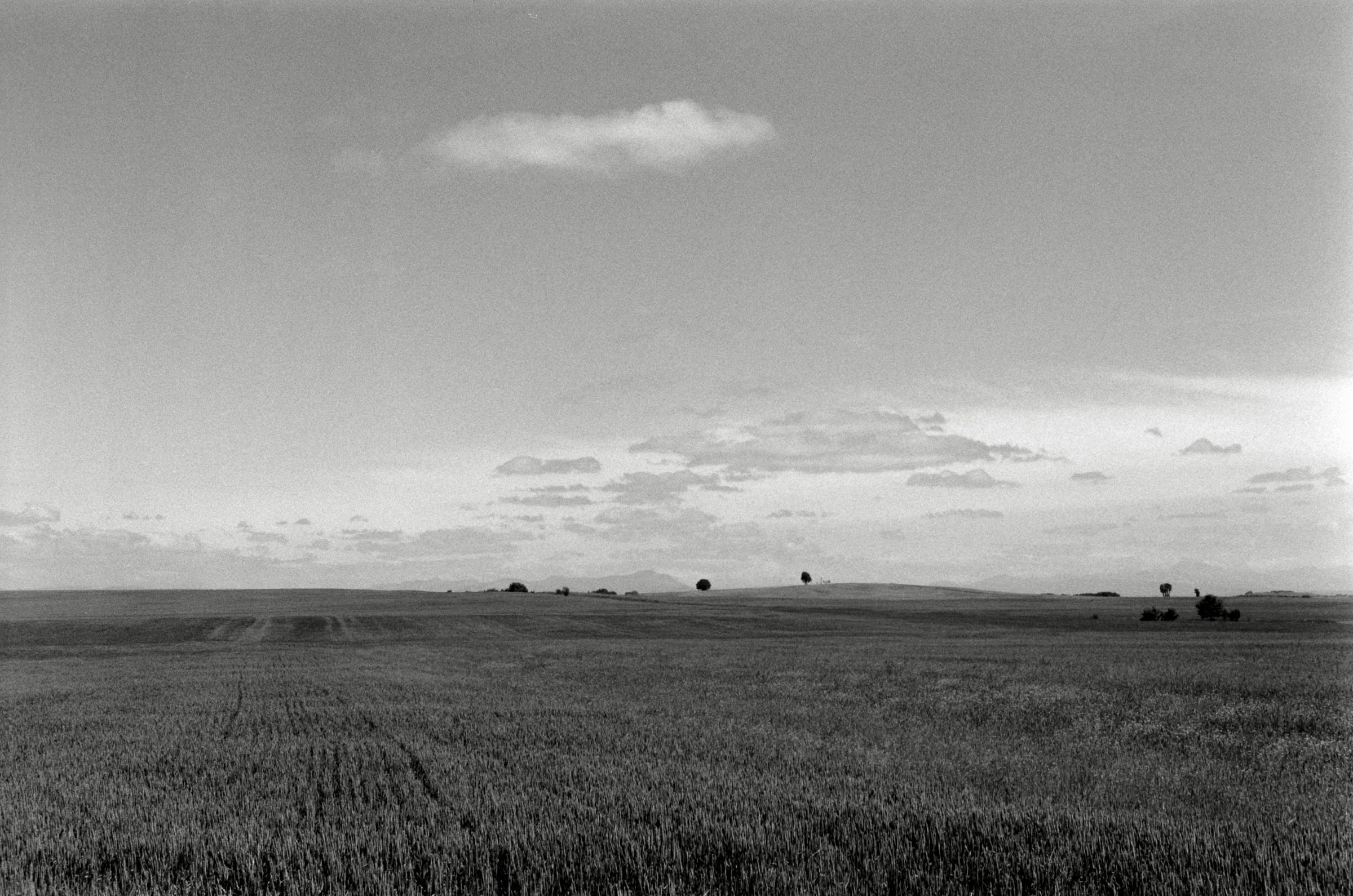 AHP F1995 05 009 sc240826 img27 NLP